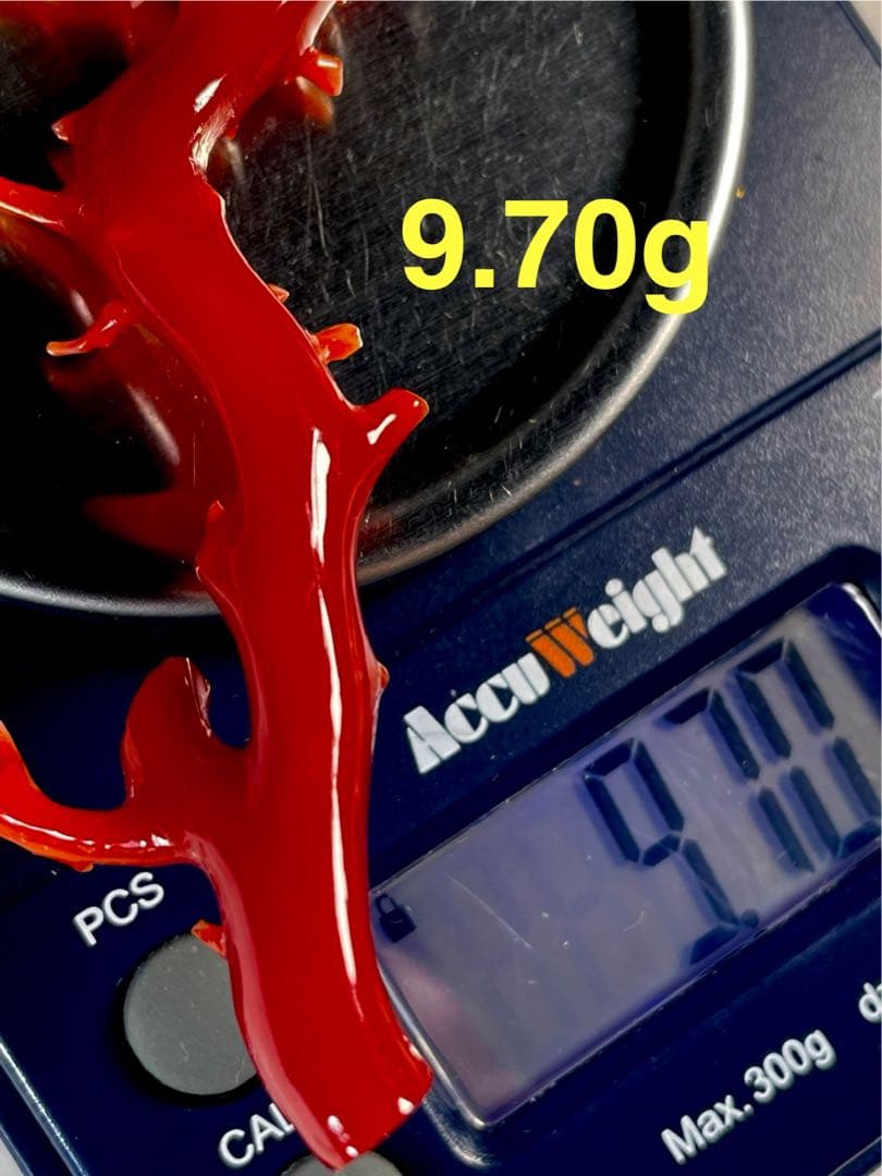 タ*キ様 天然赤珊瑚 枝ルース 約10cm 高知県産　#ー02