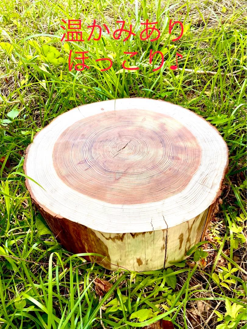 完売　オーダー受付中！天然杉/超特大サイズ！【森を感じられる切り株テーブルなど】