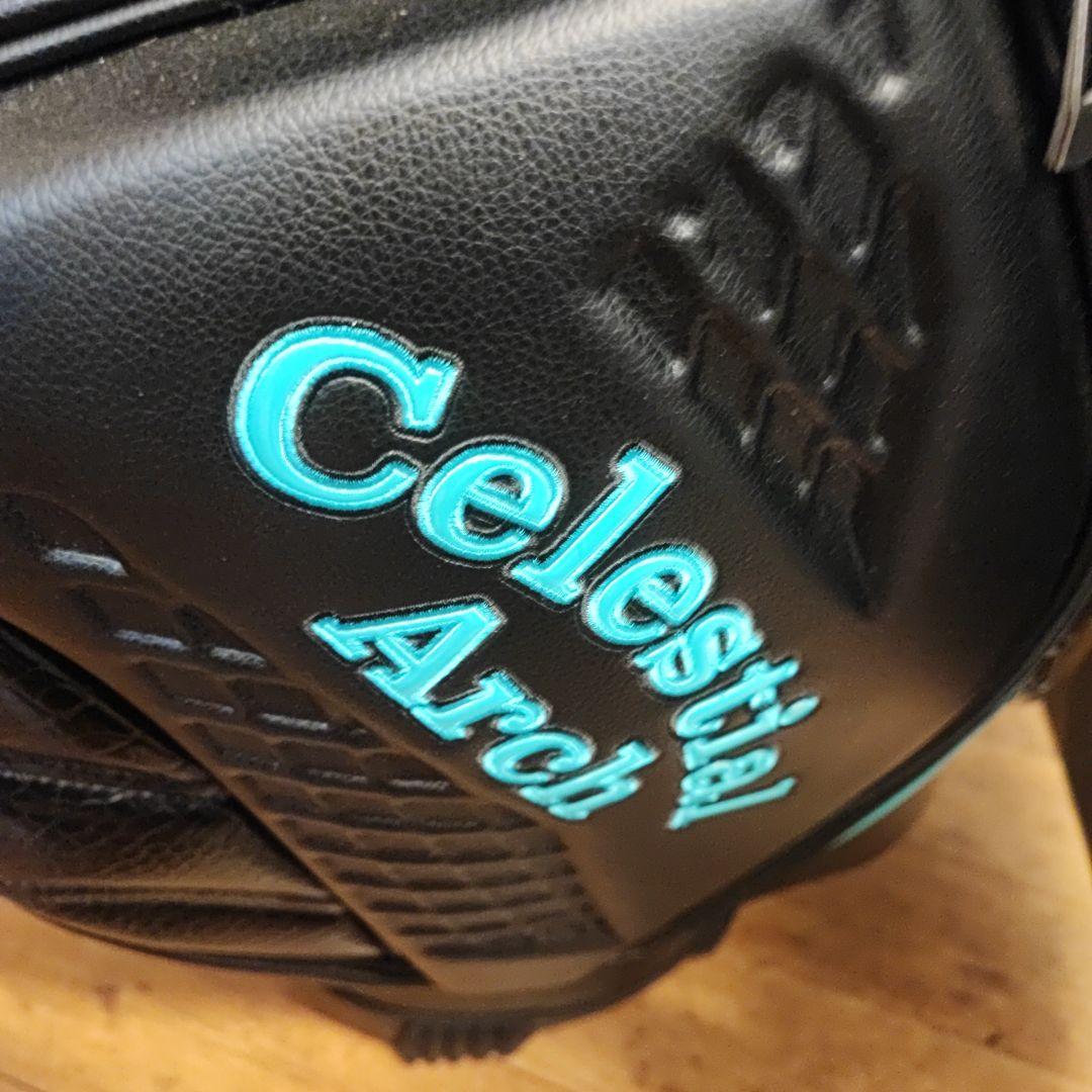 ぜんさん専用 アーチゴルフ スタンドキャディバッグ 9.5インチ ブラック