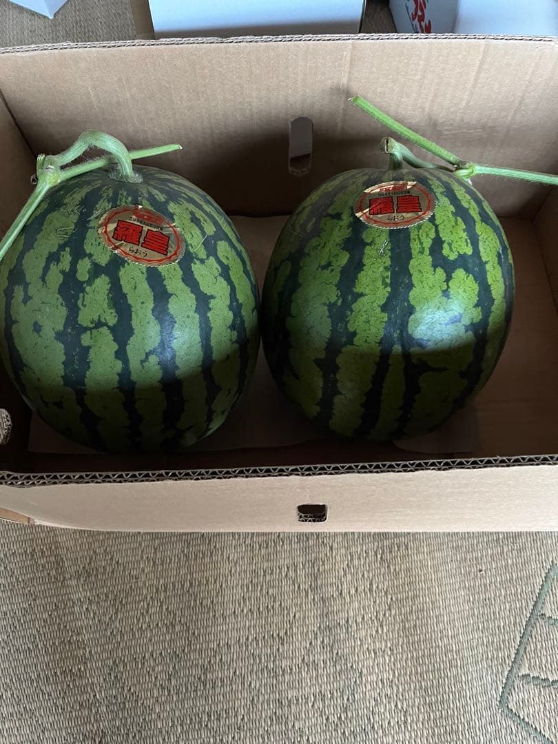 ♥️値段交渉大歓迎♥️