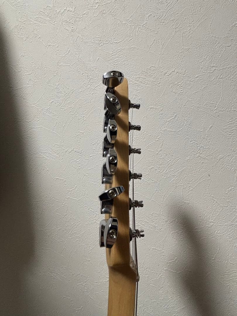 Squier Affinity Starcaster ソフトケース・保証書付