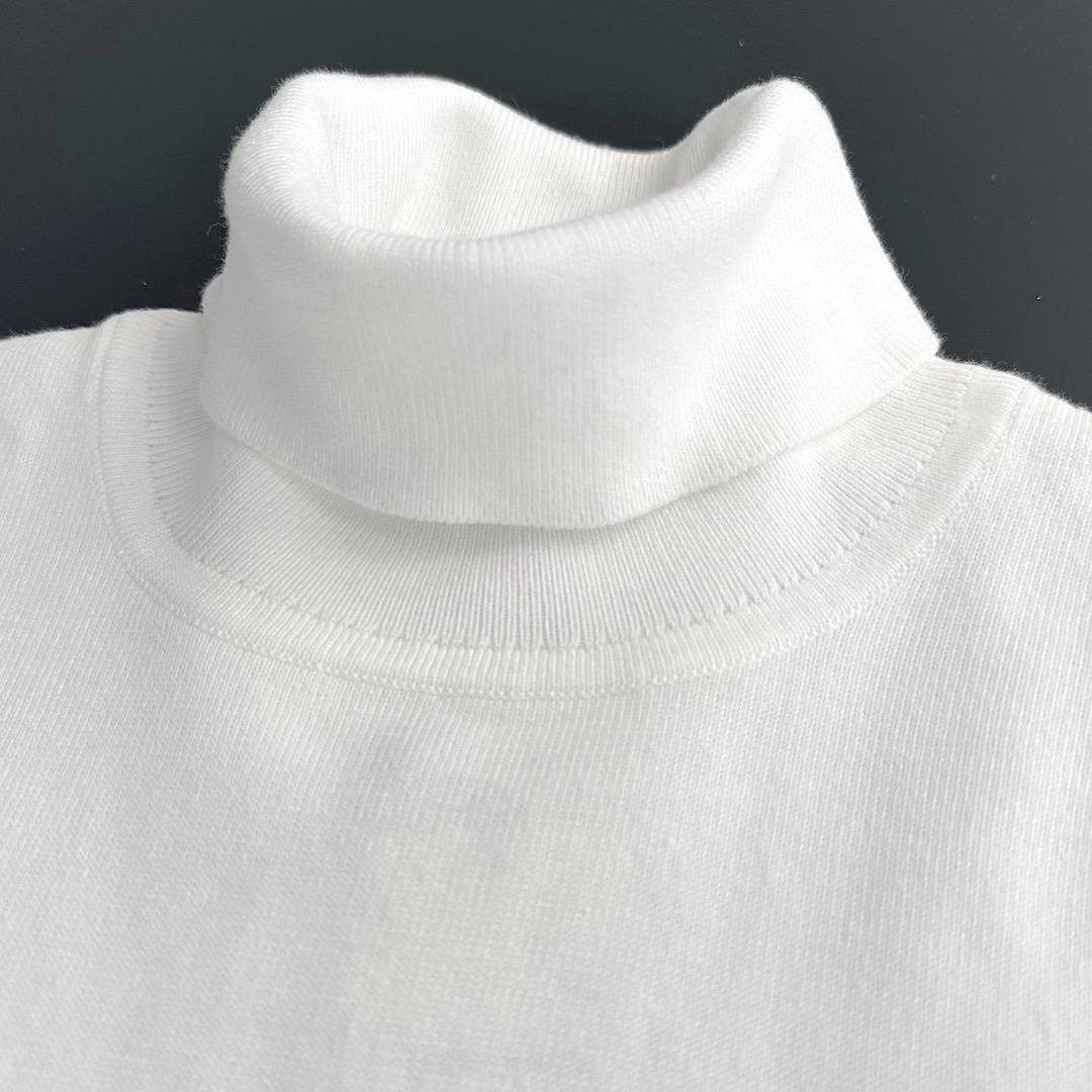 200 パーリーゲイツ メンズ タートルネックニット SUSTAIN 4 M