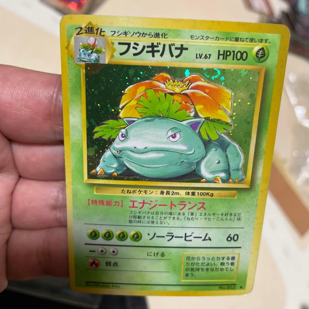 フシギバナ　旧裏　全面ホロ