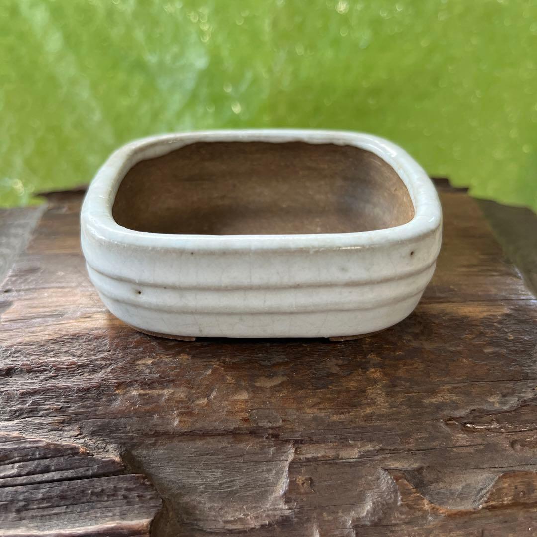 高雄香葉　盆栽鉢　小品　3個セット　レトロ　(A6)