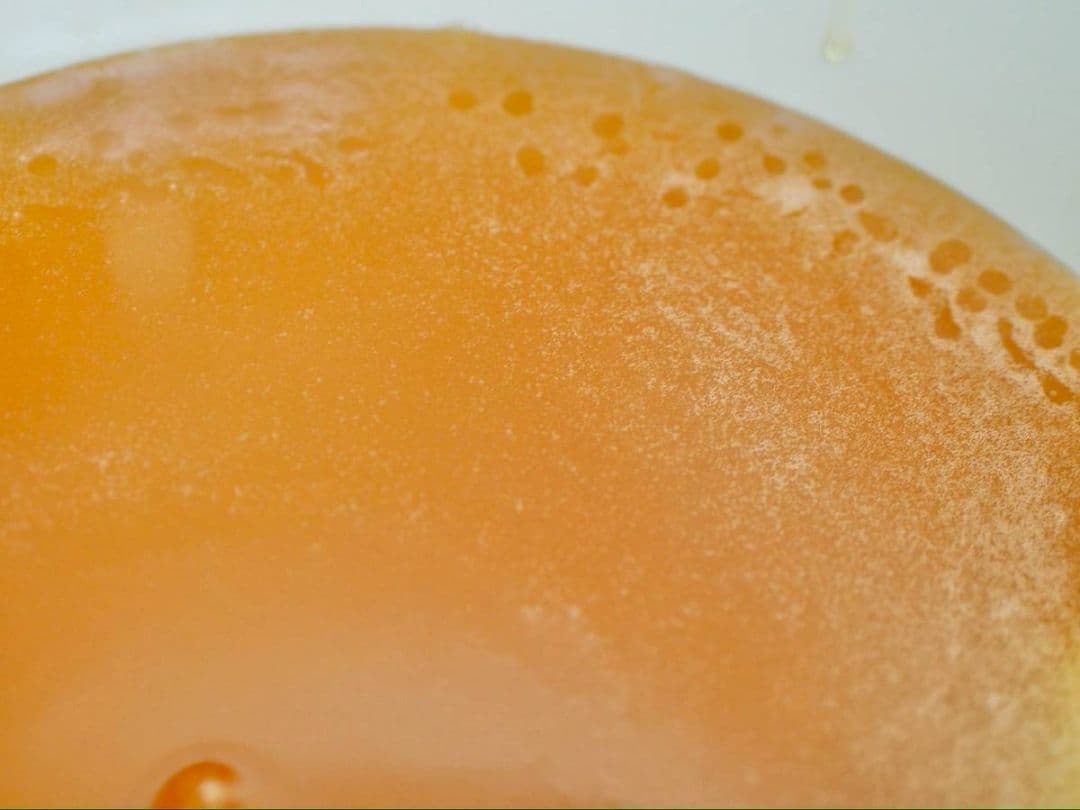 日本蜜蜂完熟ハチミツ（食べ比べ、600g✕2瓶）