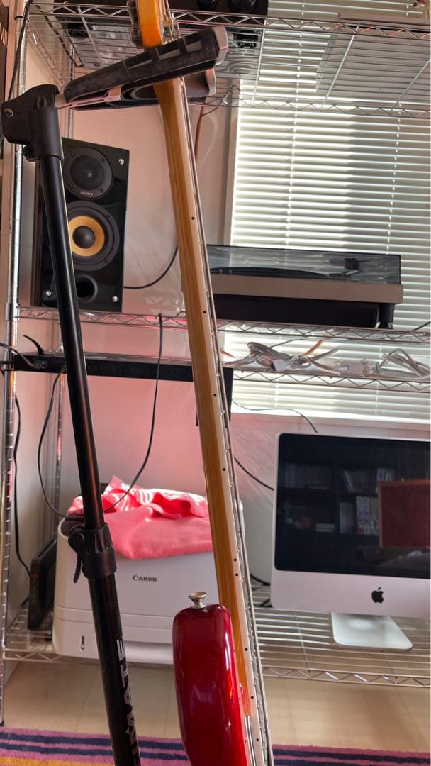 【Fender USA】フェンダー 2019 Limited Edition