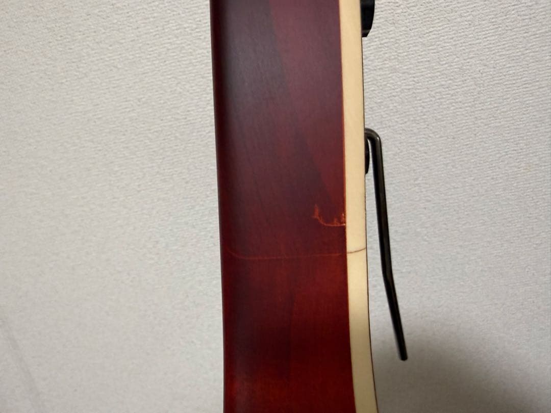 ギター EVH Wolfgang STD EXOTIC