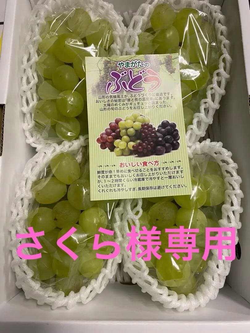 さくら 山形県産　訳あり希少品種　雄宝2箱