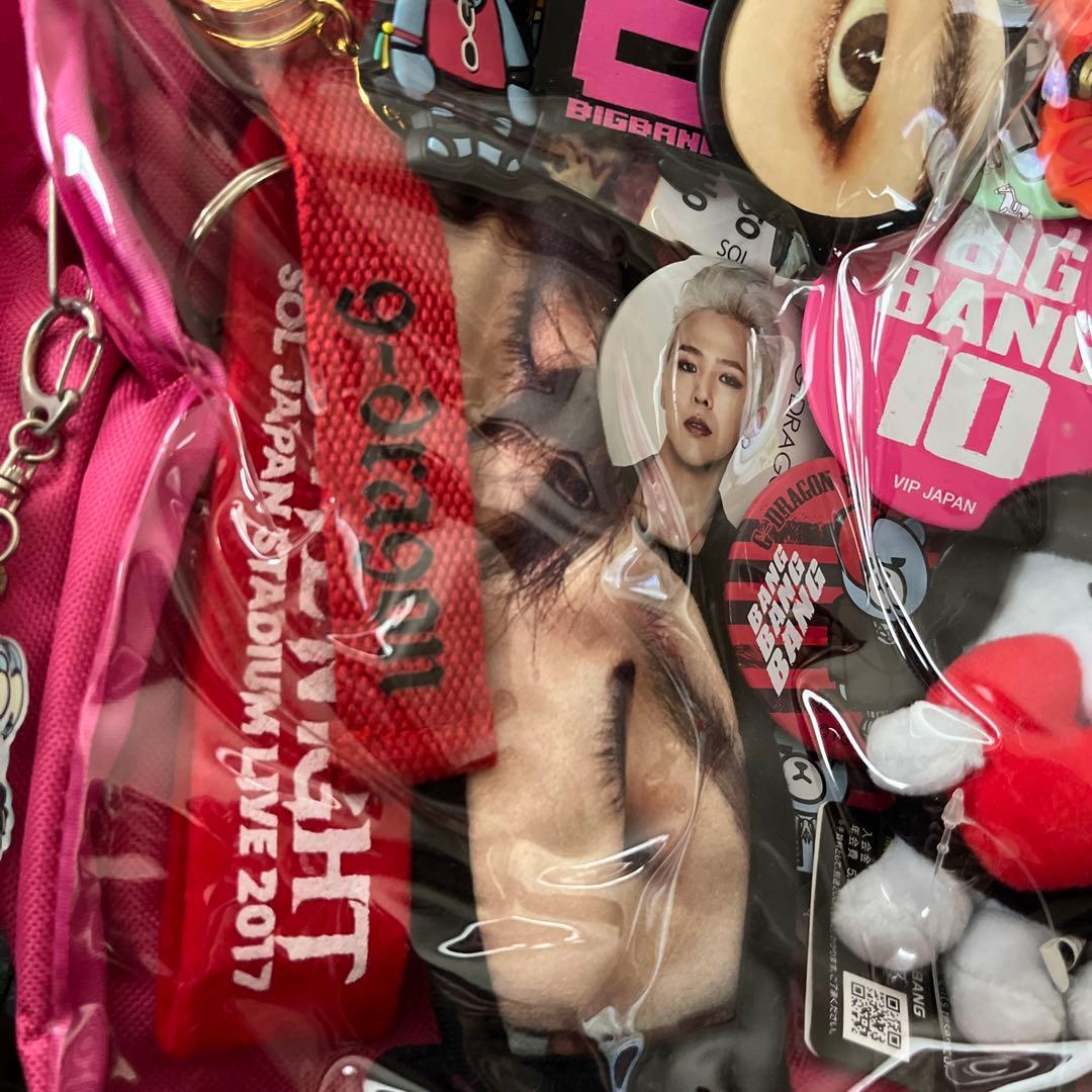 BIGBANG 透明バッグ　ぬいぐるみ バッジ　グッズ　G-DRAGON SOL