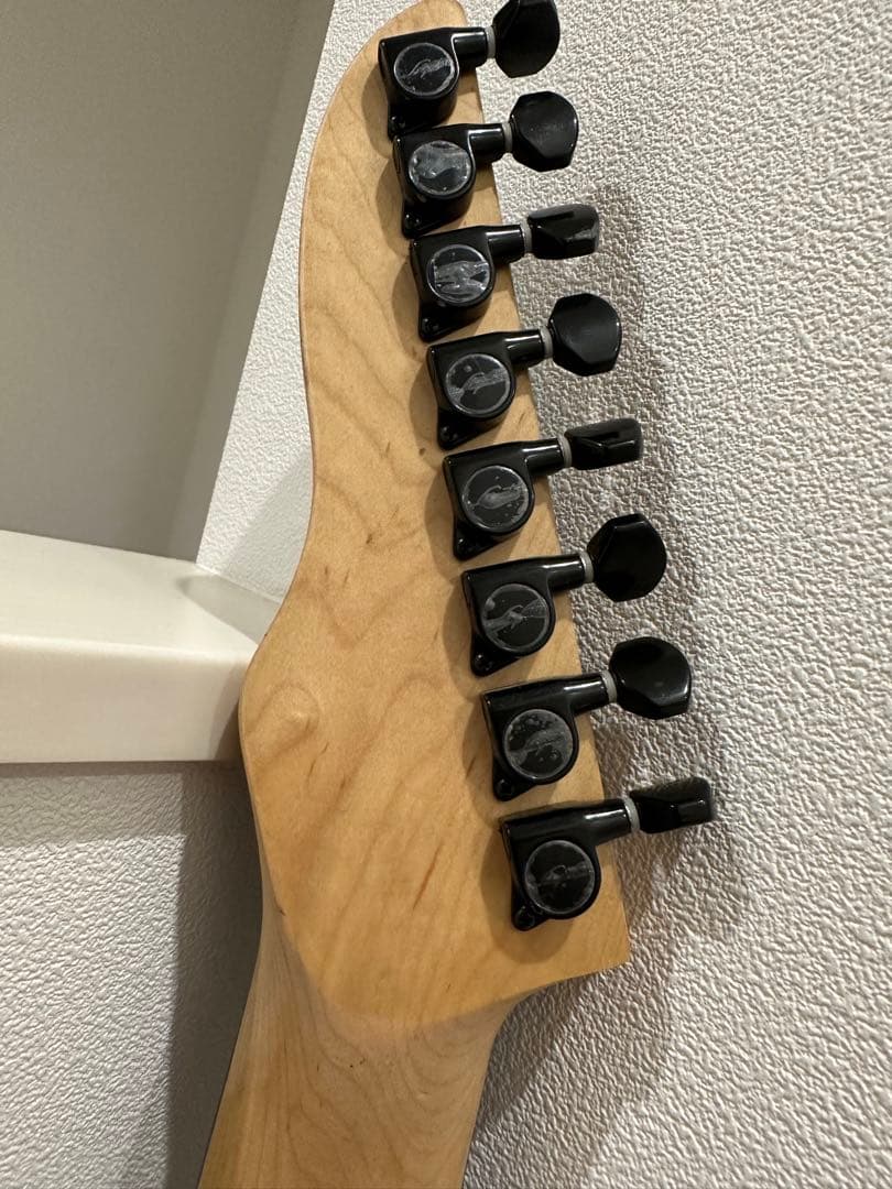 テレボディ　8弦ギター