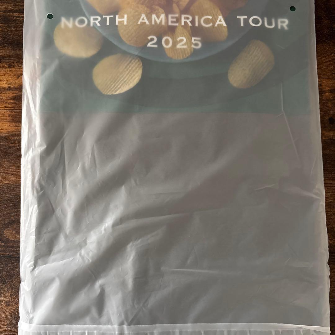 藤井風NORTH AMERICA TOUR 2025 ポテチTシャツ