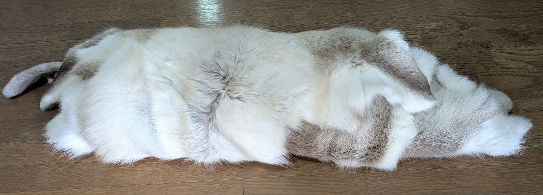 トナカイ特大毛皮 ラグ キャンプ アウトドア