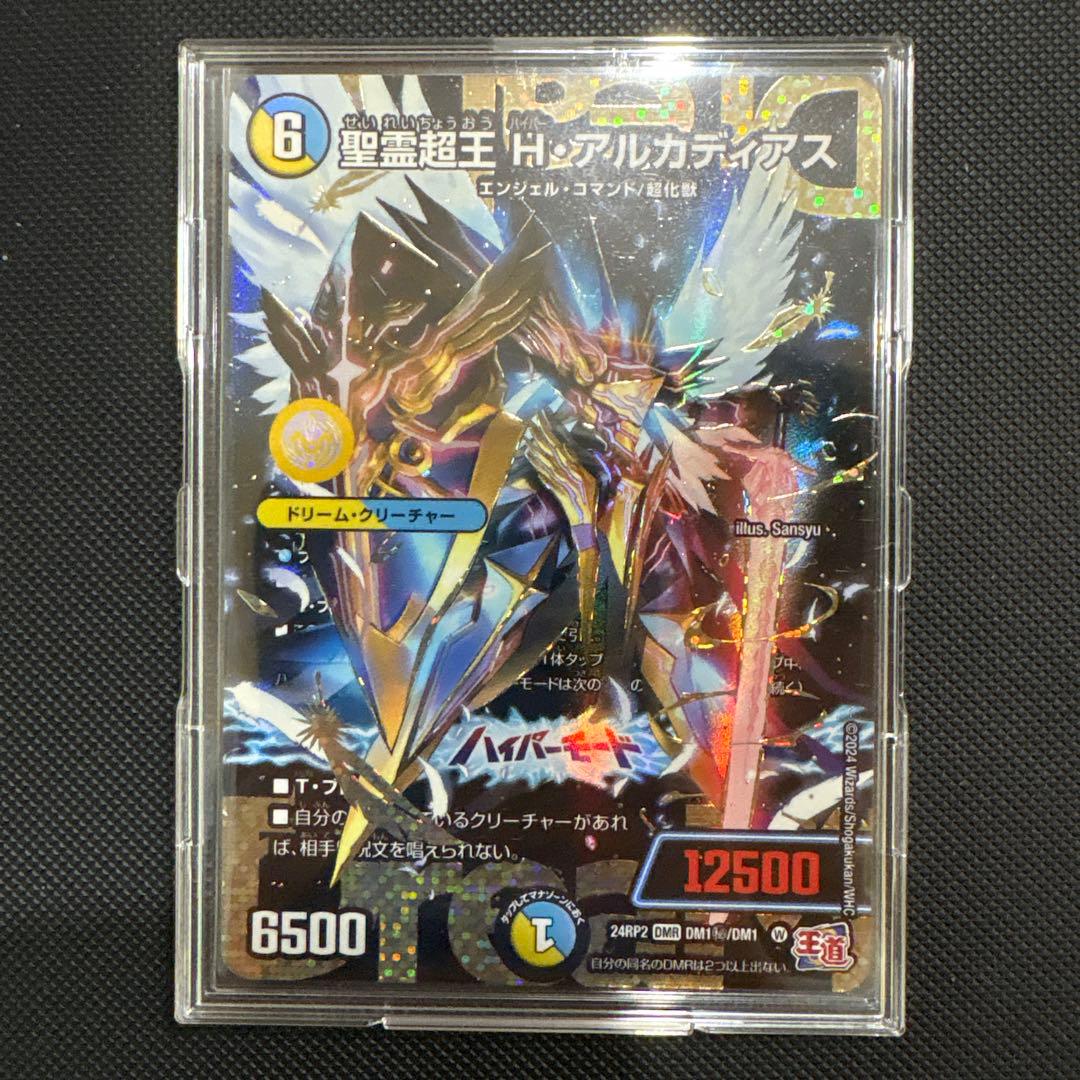 聖霊超王 Hアルカディアス シークレット