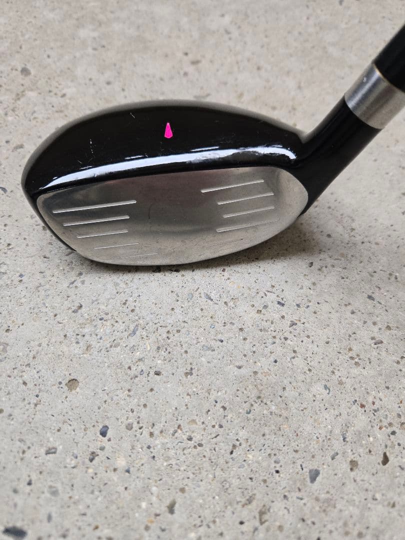 ワールドイーグル　FL-01 V2　レディースゴルフ10本セット　FLEX-L