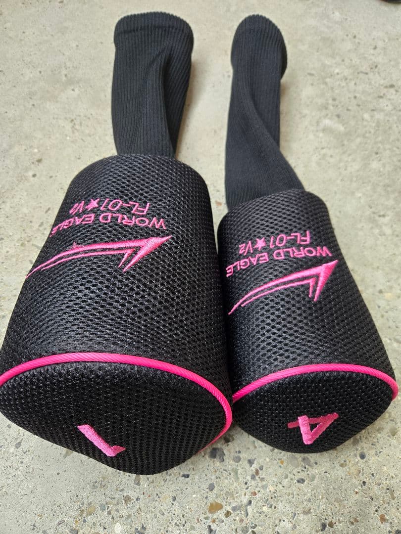 ワールドイーグル　FL-01 V2　レディースゴルフ10本セット　FLEX-L