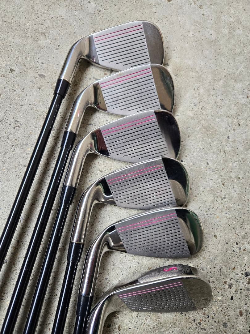 ワールドイーグル　FL-01 V2　レディースゴルフ10本セット　FLEX-L