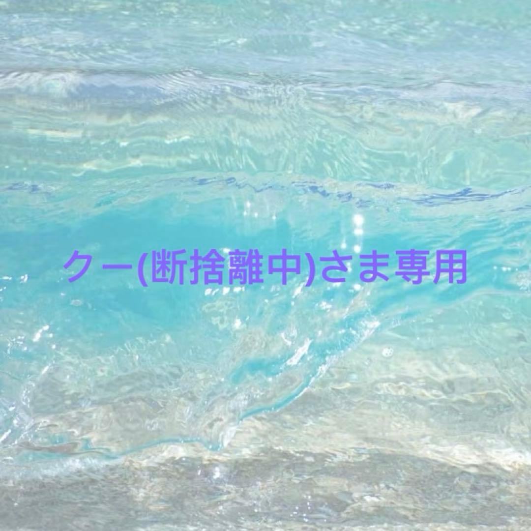 クー(断捨離中)さま専用