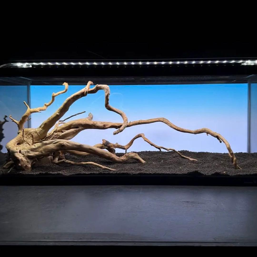 MDW-7235ブランチウッドレイアウトセット　90cm水槽用流木セット　枝流木