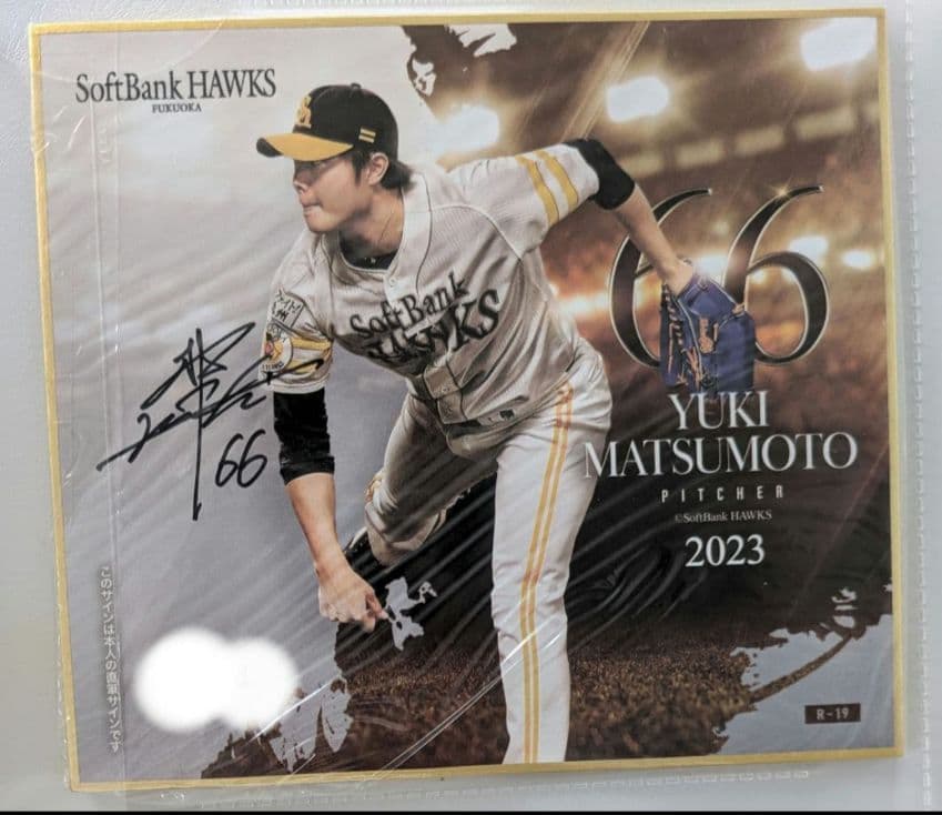 【早いもの勝ち】ソフトバンクホークス　トレーディングmini色紙　直筆　サイン