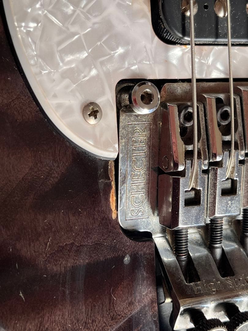 ム*店様 Schetcher エレキギター ブラック