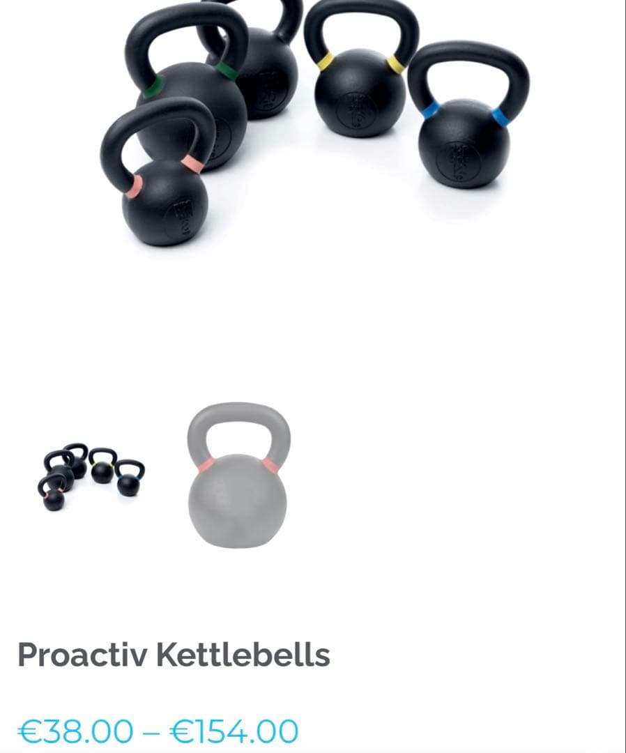 ケトルベル　PRO ACTIVE(プロアクティブ) 20kg 最後の1個です。