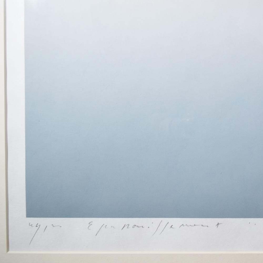 井上公三 開花 シルクスクリーン 40号 直筆サイン 版画 HiBell ART