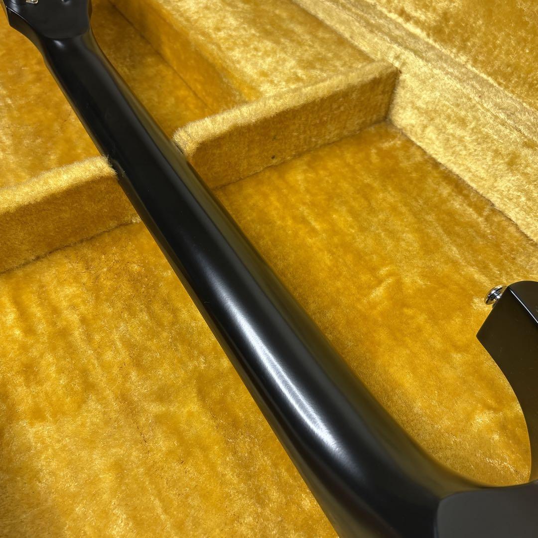 【激レア】　アイバニーズ　DN-400