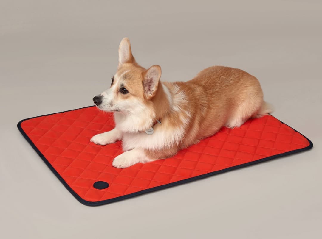 Hermès エルメス 犬用マット （フー / ネイビー）