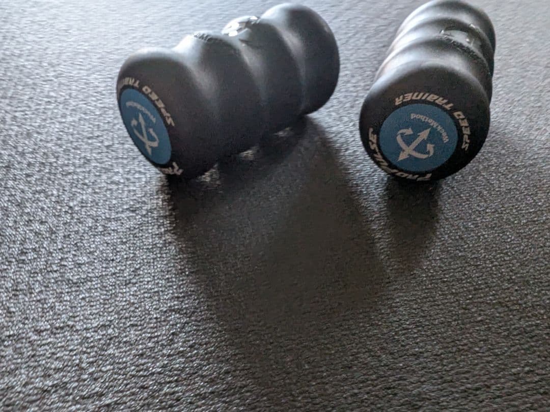 ProPulse 340g 中古 正規品 体幹 リズム 格闘技