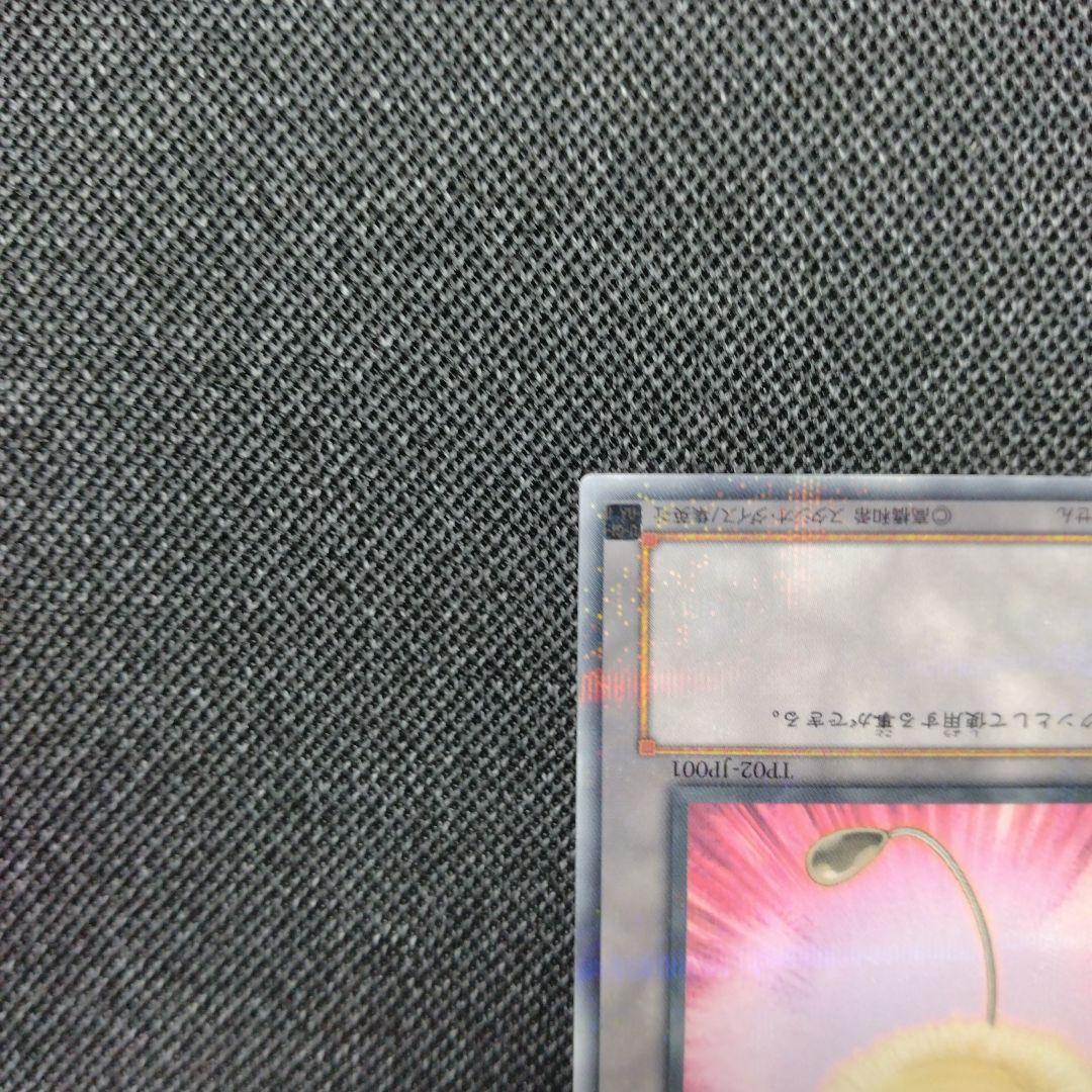 綿毛トークン パラレル 2種 TP