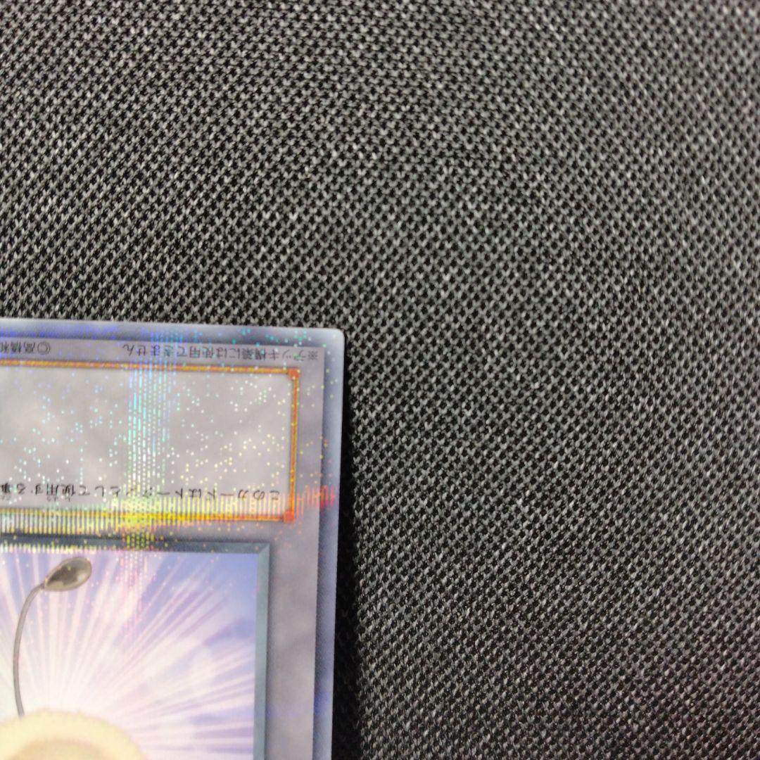 綿毛トークン パラレル 2種 TP