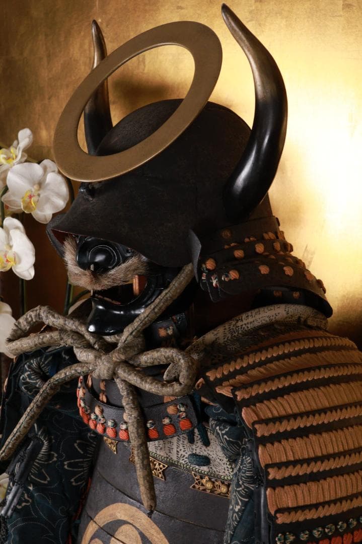 BE833　時代武具　日輪前立　鎧　甲冑一式　兜　五曜紋　鎧櫃