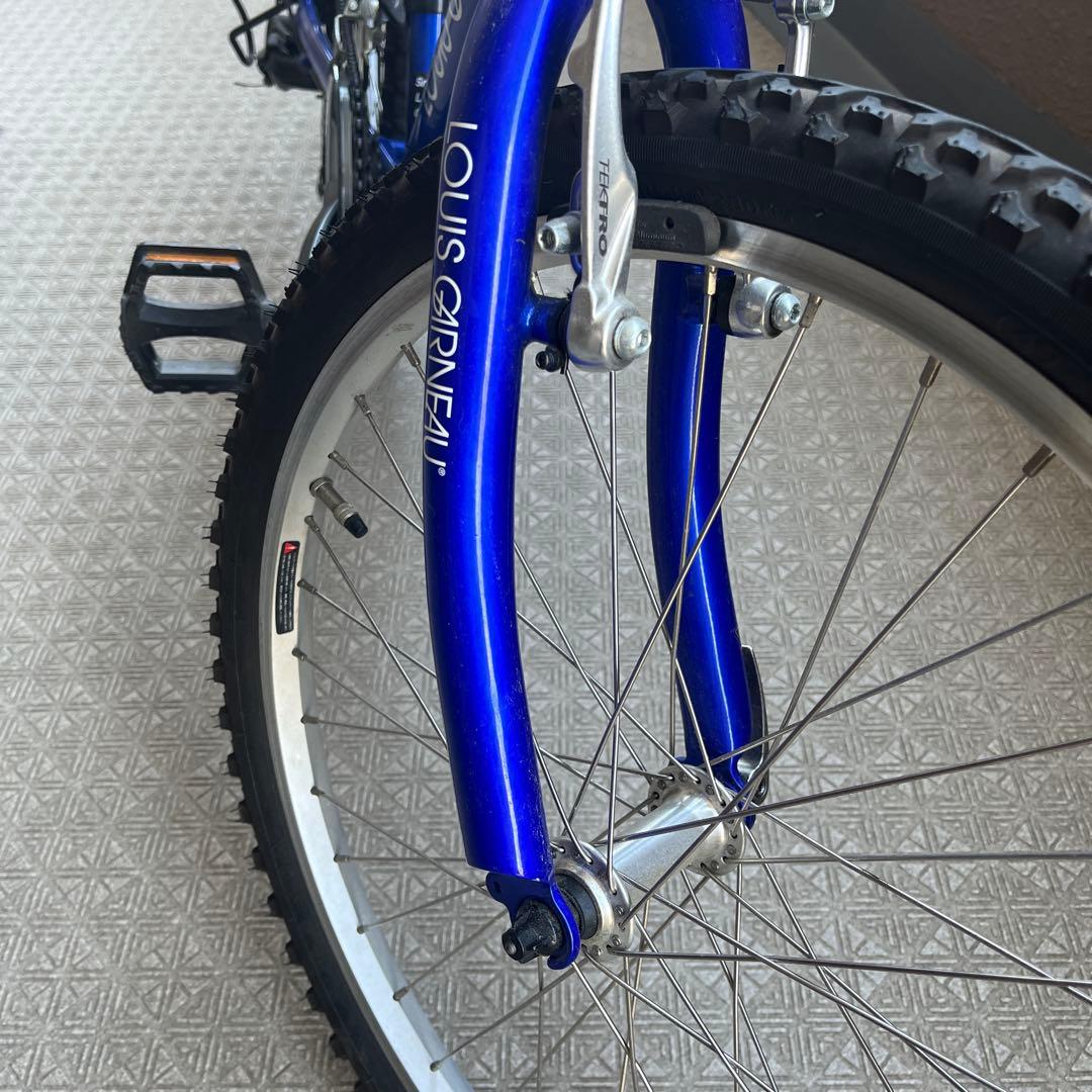 ルイガノ　ジュニア自転車 22インチ