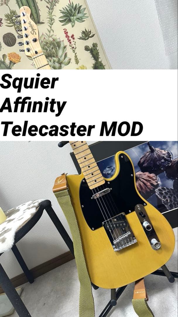Squier Affinity Telecaster　 MOD