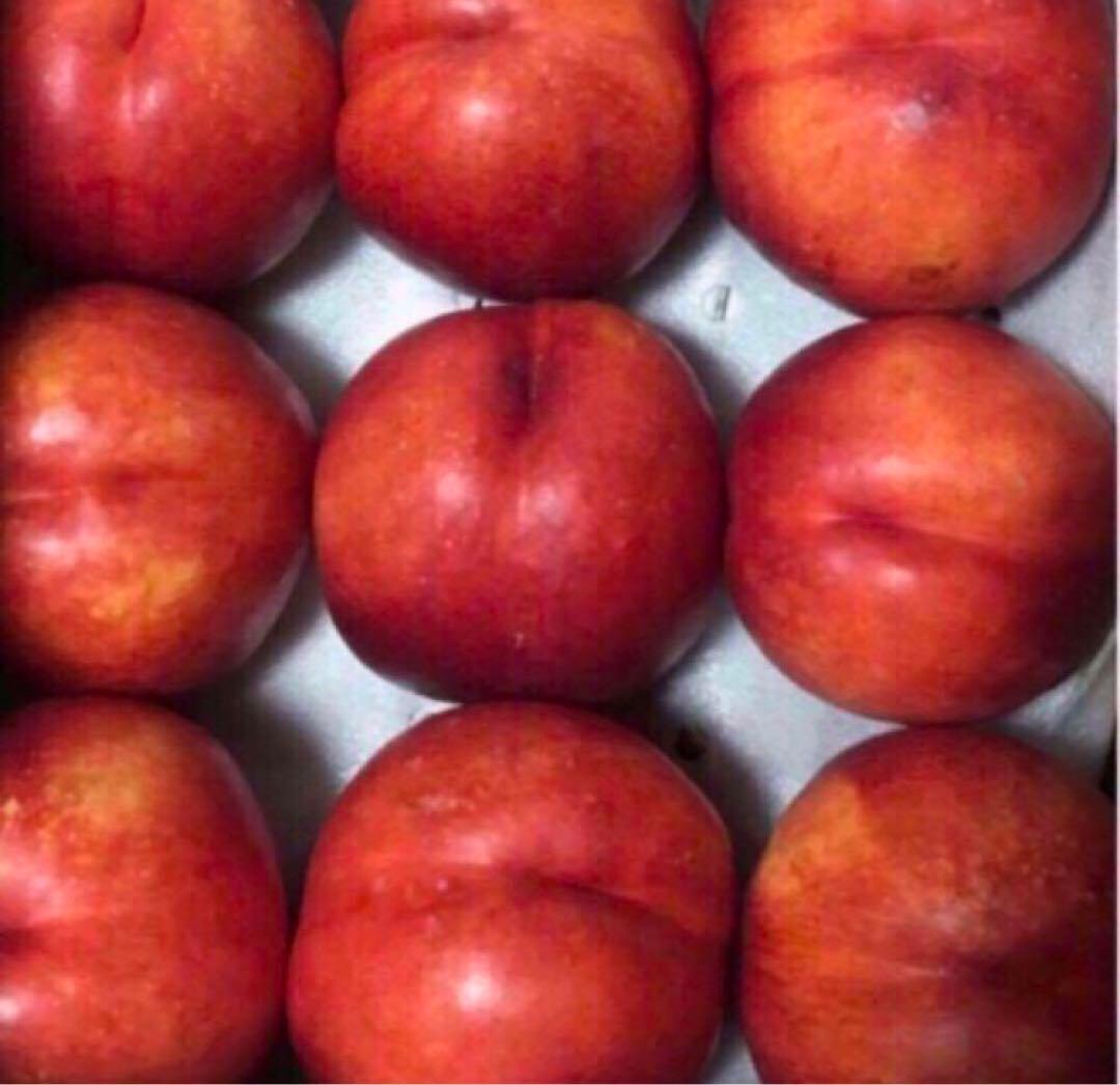 青森県産 大玉 エンパイア ネクタリン 3kg 2箱