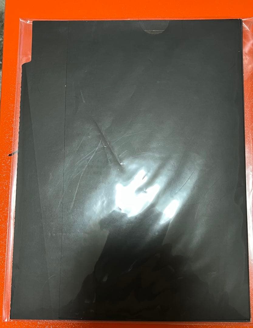 エヴァンゲリオン　破　特典フィルム　アスカ　碇シンジ