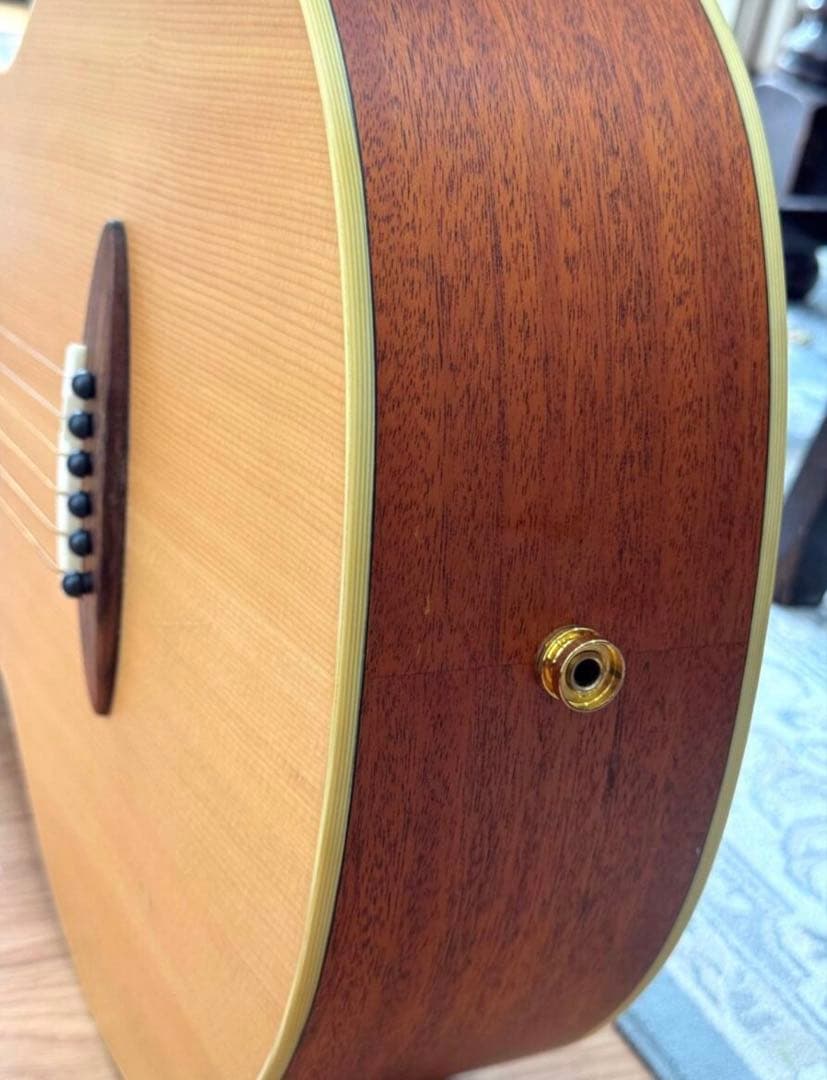 【3.9万Airデュアルピックアップシステム付き】aNueNueアヌエヌエ M1