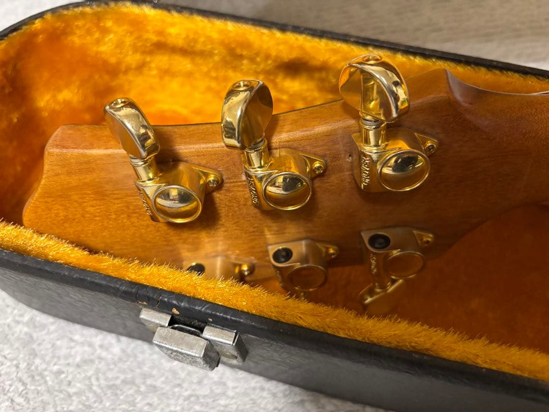 み*み様 Epiphone Casino NA