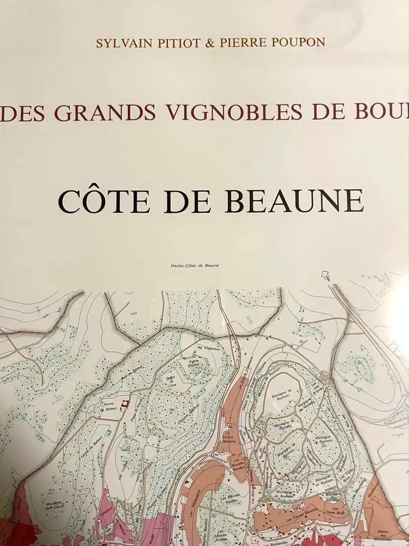 【大型額装美品】ブルゴーニュ（ワイン）南北の詳細な葡萄畑の地図