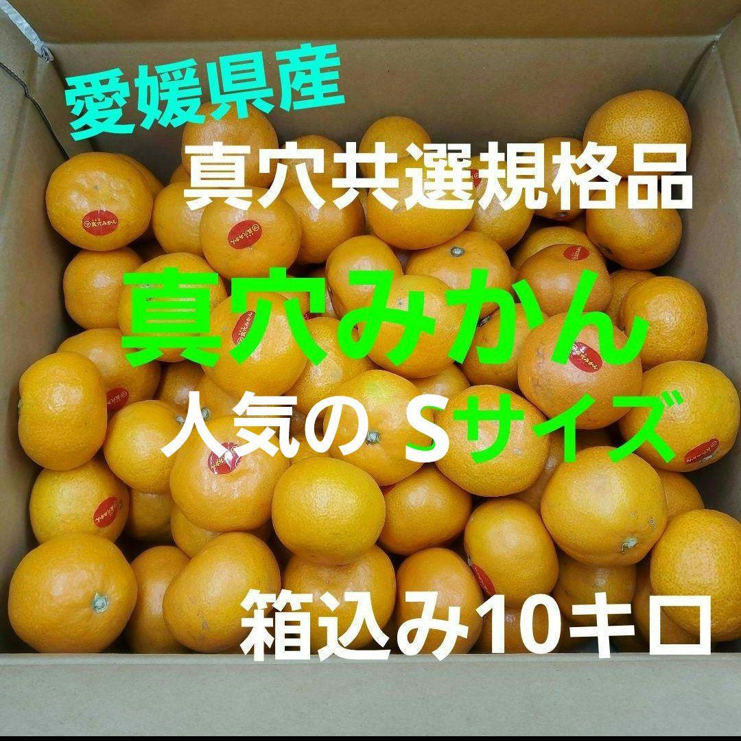0️⃣0️⃣ 愛媛県産 真穴みかん Sサイズ 箱込み１０キロ①