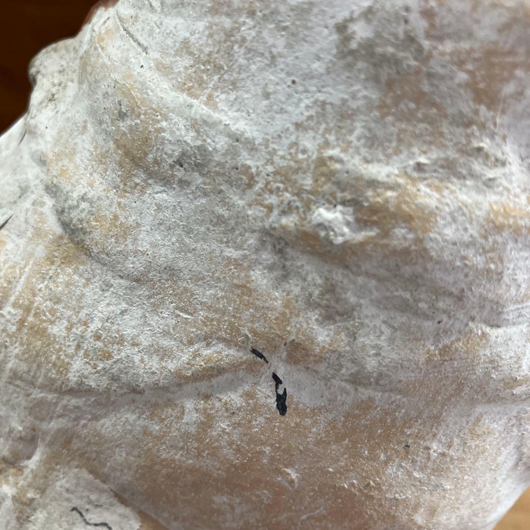 土人形　犬　縁起物　割れあり