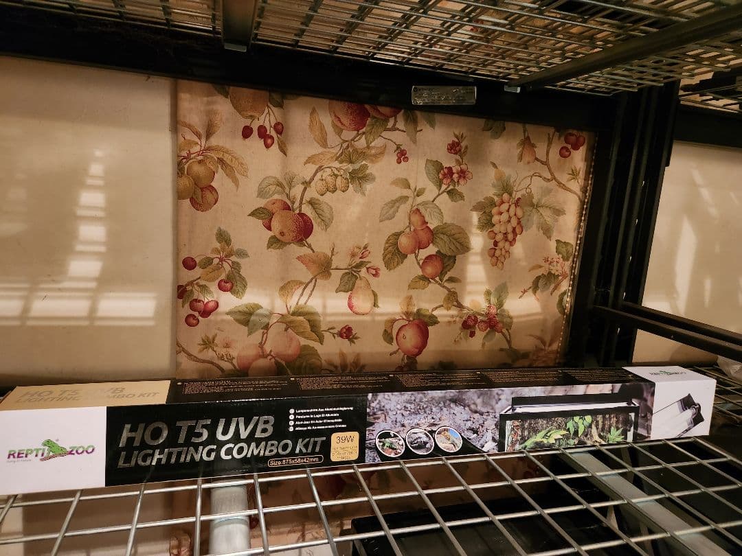 Cindy Entac様パンテオン9045ブラック未使用未開封1台