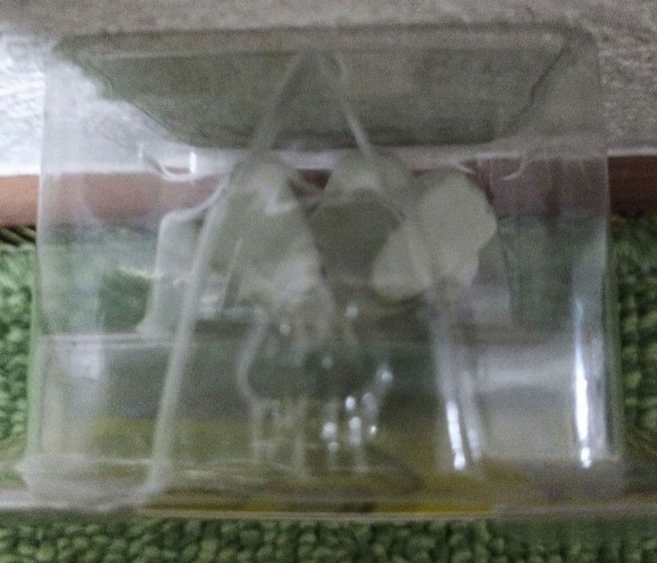 初代 モンコレ ドーブル フィギュア No.235 ポケモン TOMY 初期