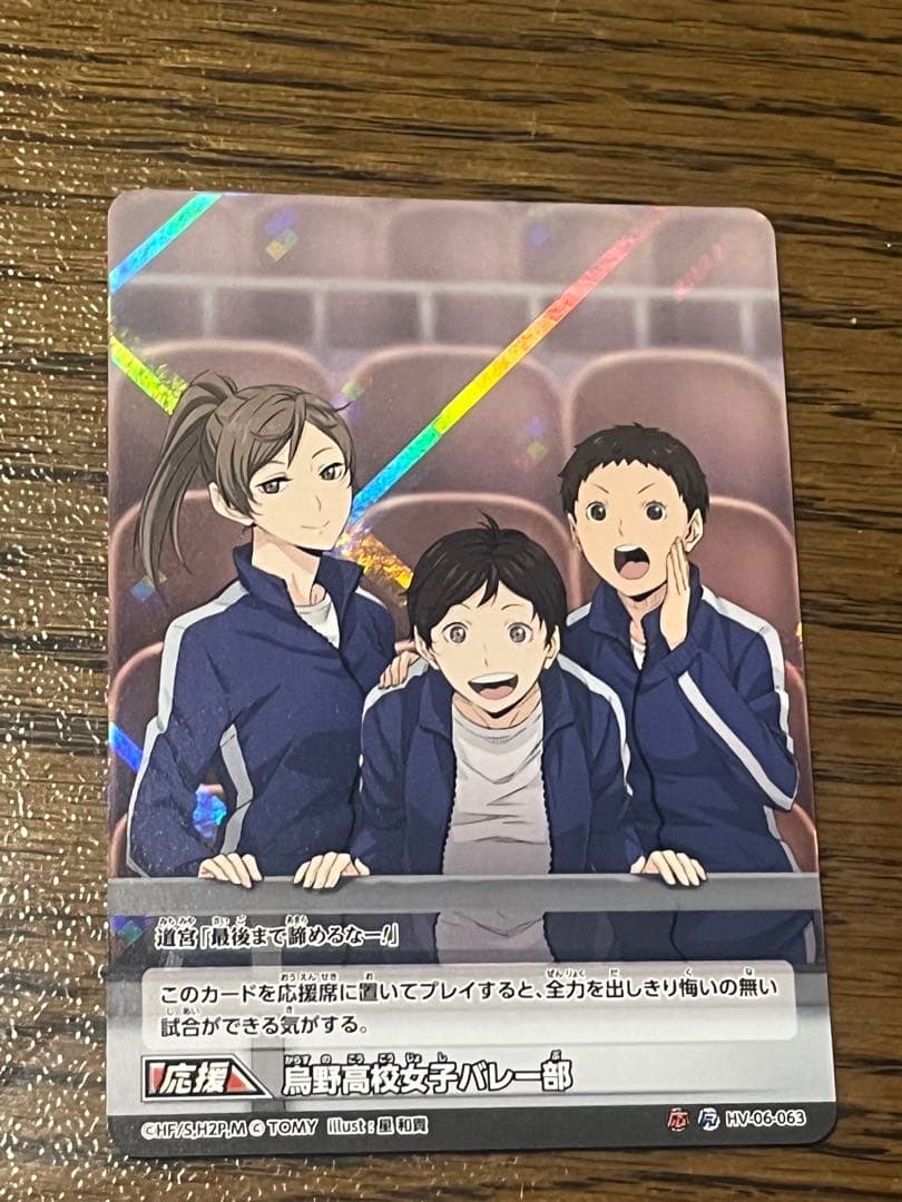 ハイキューホログラム烏野女子バレー部バボカ
