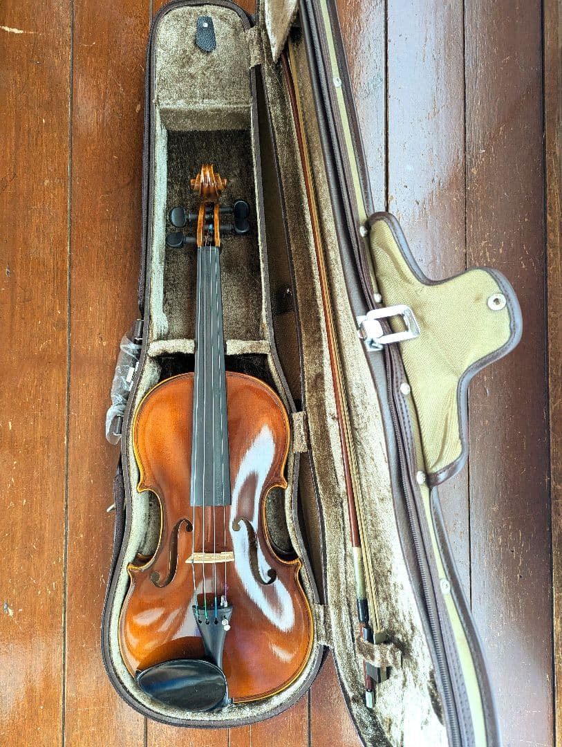 カールヘフナー karl hofner バイオリン＆ARY FRANCEの弓