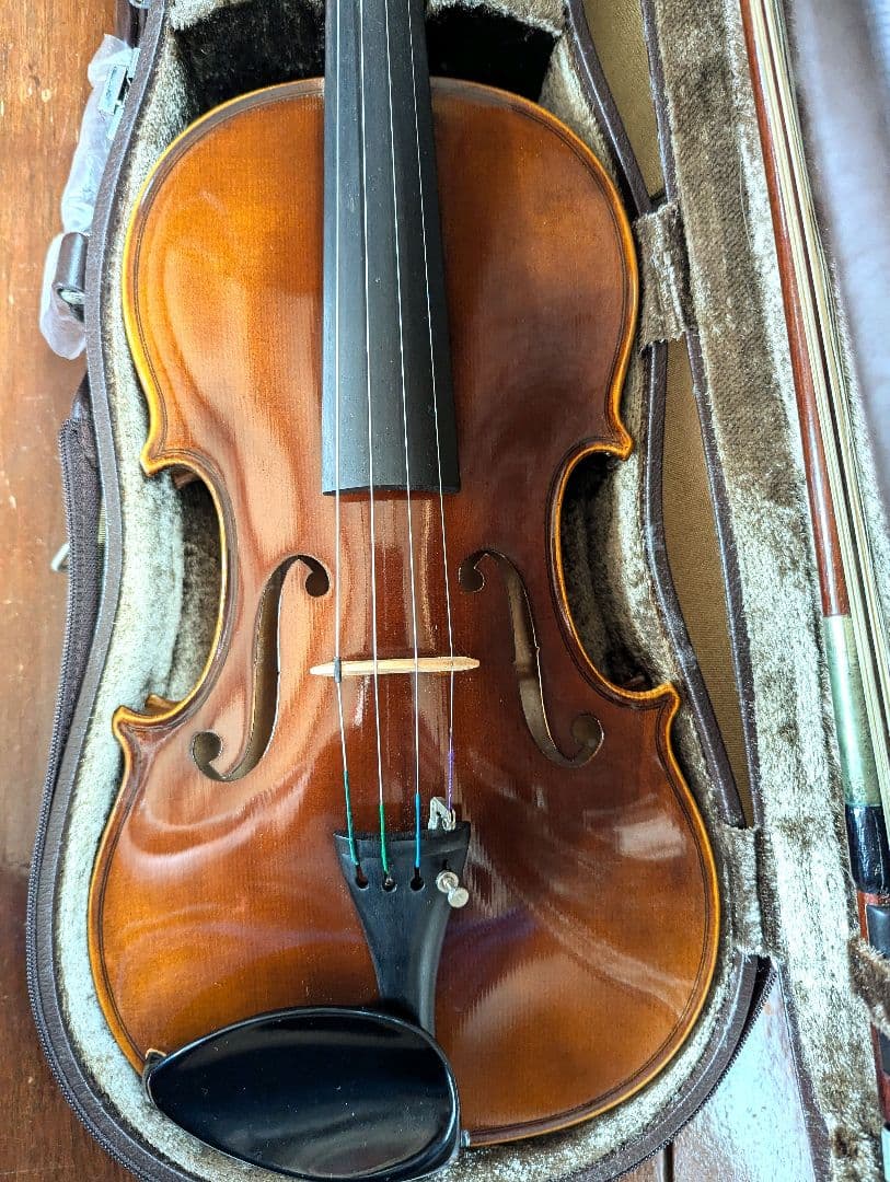 カールヘフナー karl hofner バイオリン＆ARY FRANCEの弓