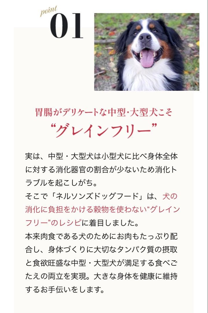 ☆ネルソンズドッグフード・グレインフリー☆中型犬・大型犬・5kg（2袋セット）☆