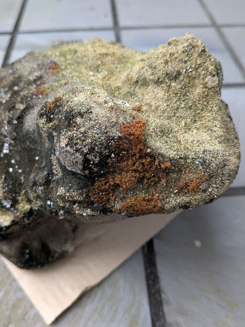 海外コレクター向き明治時代〜昭和戦前期頃蛙苔むした全長２３センチ重さ５キロ飾置物