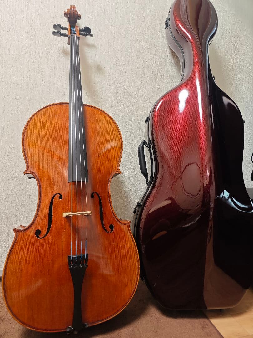 Heinrich Gill No.334 チェロCarbon Macハードケース