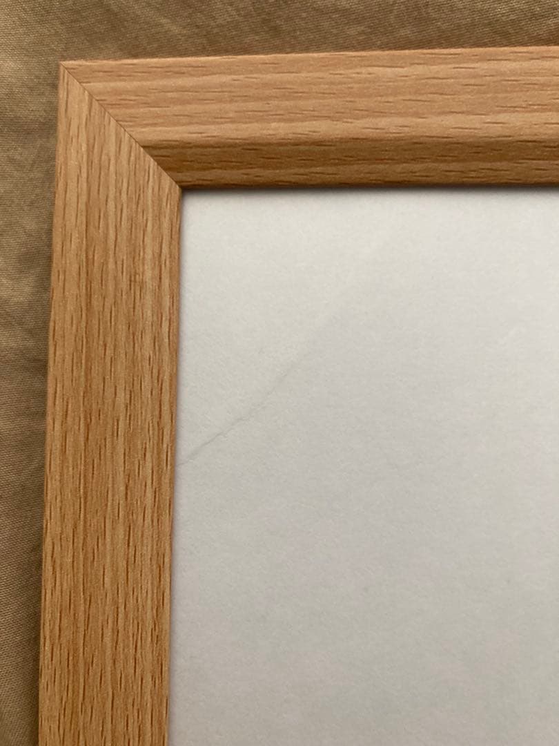 阿部慎之助　サイン　色紙　ジャイアンツ　巨人　カード2枚　額縁付き　阿部監督